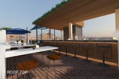 24-ROOF TOP_01