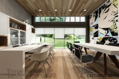 EXECUTIVE OFFICE-C1