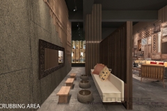 SCRUBBING AREA